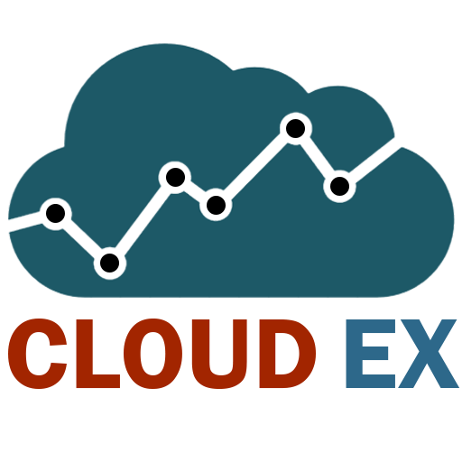 CLOUD-EX INFORMATION SYSTEMS LTD